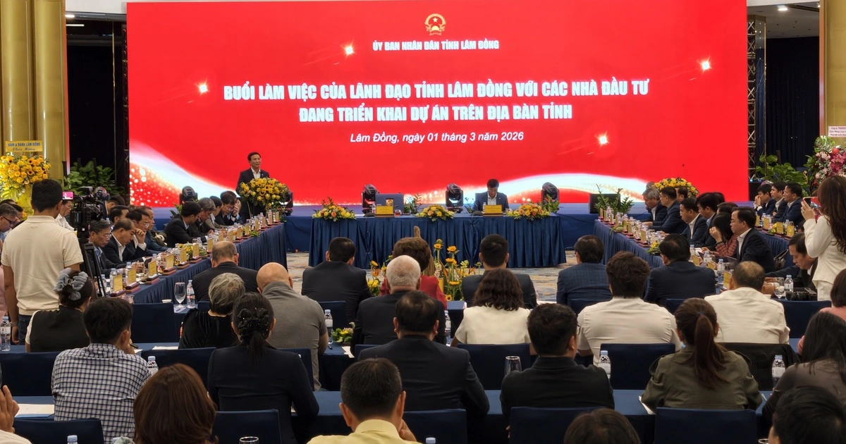 Lâm Đồng họp bàn 'giải cứu' 359 dự án đình trệ