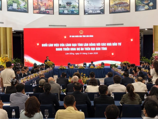 Lâm Đồng họp bàn 'giải cứu' 359 dự án đình trệ - Ảnh 1