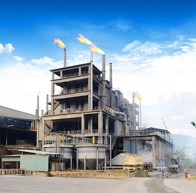 Hóa chất Đức Giang sẽ họp cổ đông bất thường sau khi Chủ tịch bị bắt - Ảnh 1