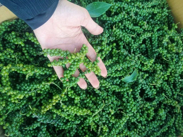 EU siết kiểm soát nông sản nhập khẩu, hàng Việt Nam gặp khó - Ảnh 1