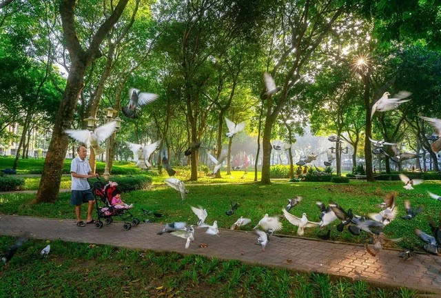 Từ chuẩn mực quốc tế đến bản địa hóa: Gamuda Land định hình chuẩn sống tại Việt Nam - Ảnh 2