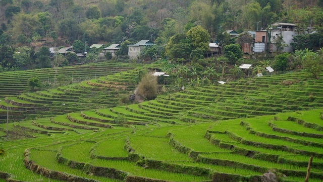 Ưu đãi của tỉnh Thanh Hóa cho các dự án đầu tư trong 5 năm tới - Ảnh 1