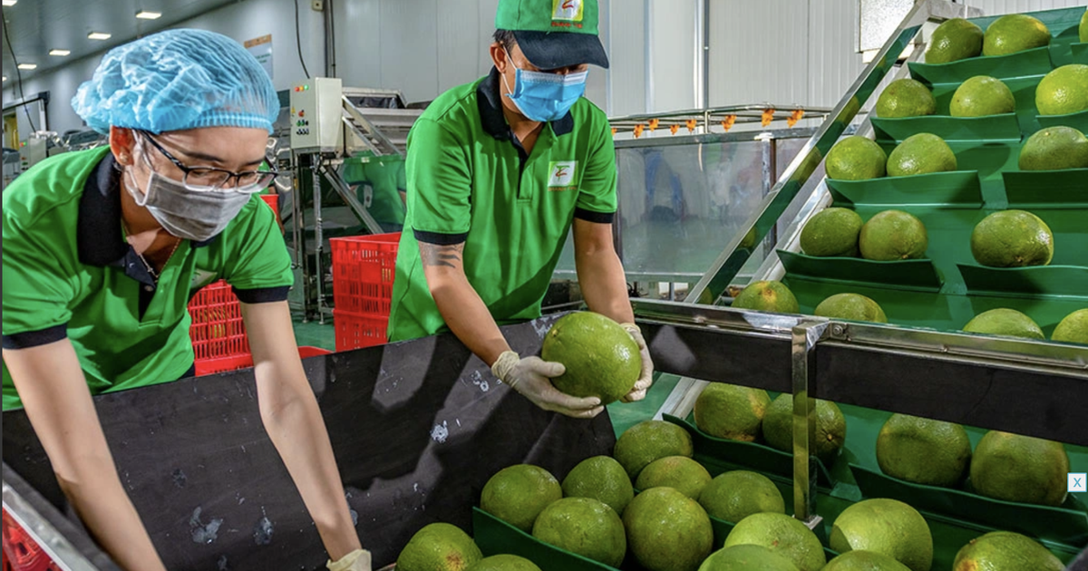 3 kịch bản xung đột Trung Đông tác động đến xuất khẩu nông sản Việt Nam