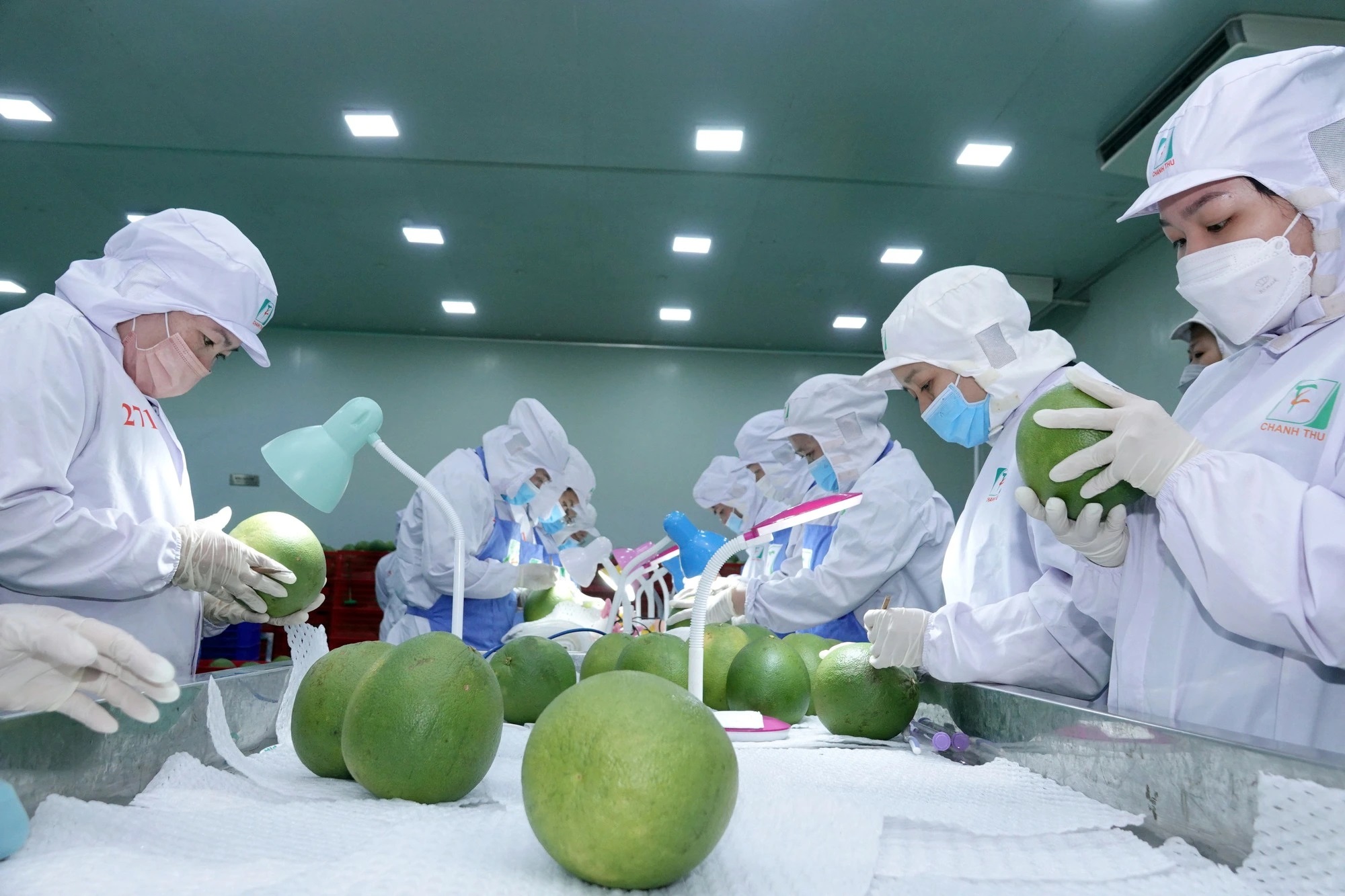 Thiết kế gói hỗ trợ doanh nghiệp 'vượt bão' xăng dầu - Ảnh 3