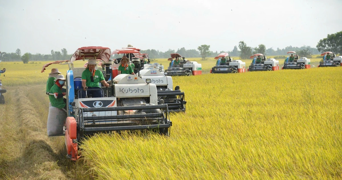 Nông nghiệp là trụ đỡ trong khủng hoảng