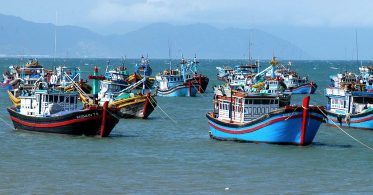 TP.HCM chuẩn bị sẵn sàng đón Đoàn thanh tra thẻ vàng IUU