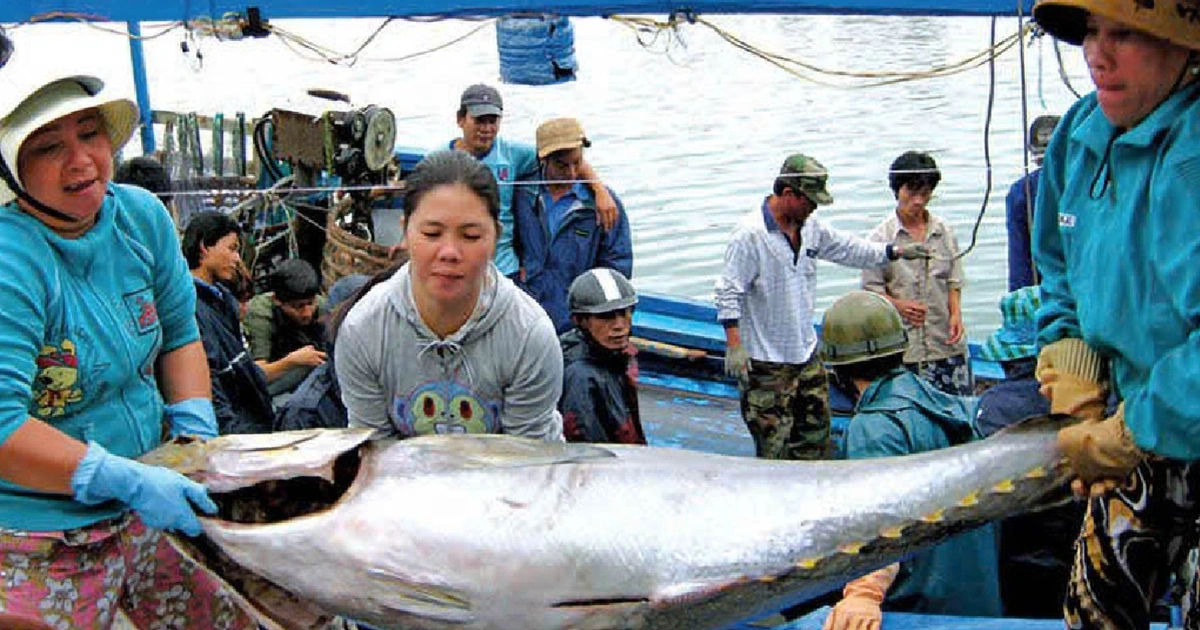 TP.HCM hỏa tốc cùng cả nước gỡ thẻ vàng IUU