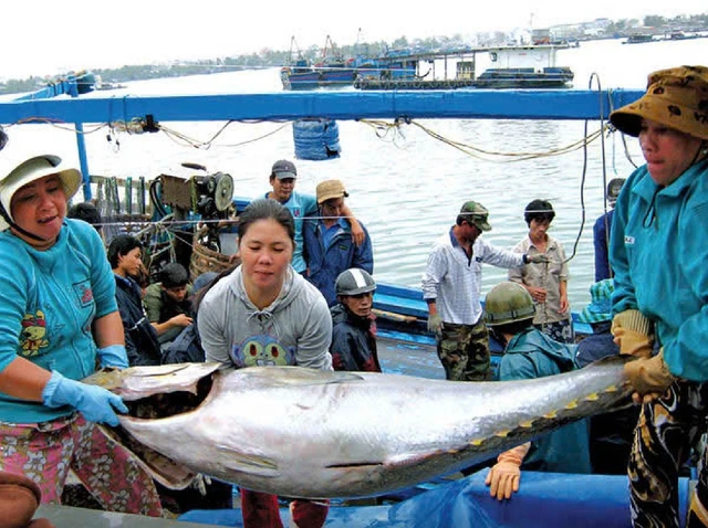 TP.HCM hỏa tốc cùng cả nước gỡ thẻ vàng IUU - Ảnh 1