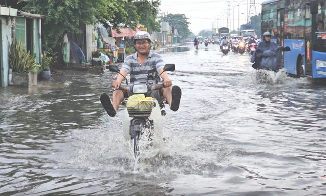Thời tiết thất thường, nhà nông gặp khó - Ảnh 1
