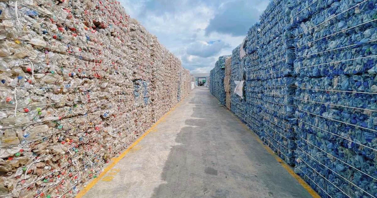 Xuất khẩu vào EU lại khó vì bao bì