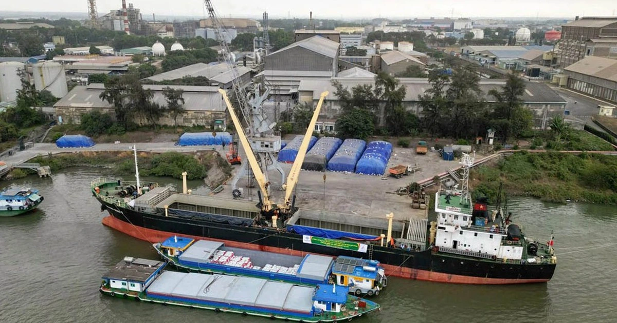 Cước tàu biển tăng mạnh, nhiều tuyến tạm ngưng