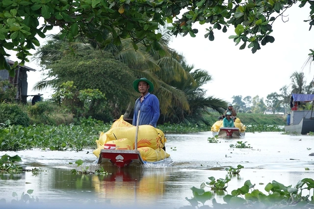 Thế khó của hạt gạo - Ảnh 2