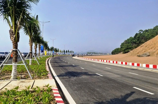 Đà Nẵng khởi động ‘siêu dự án’ cảng container hơn 45.000 tỉ đồng - Ảnh 1