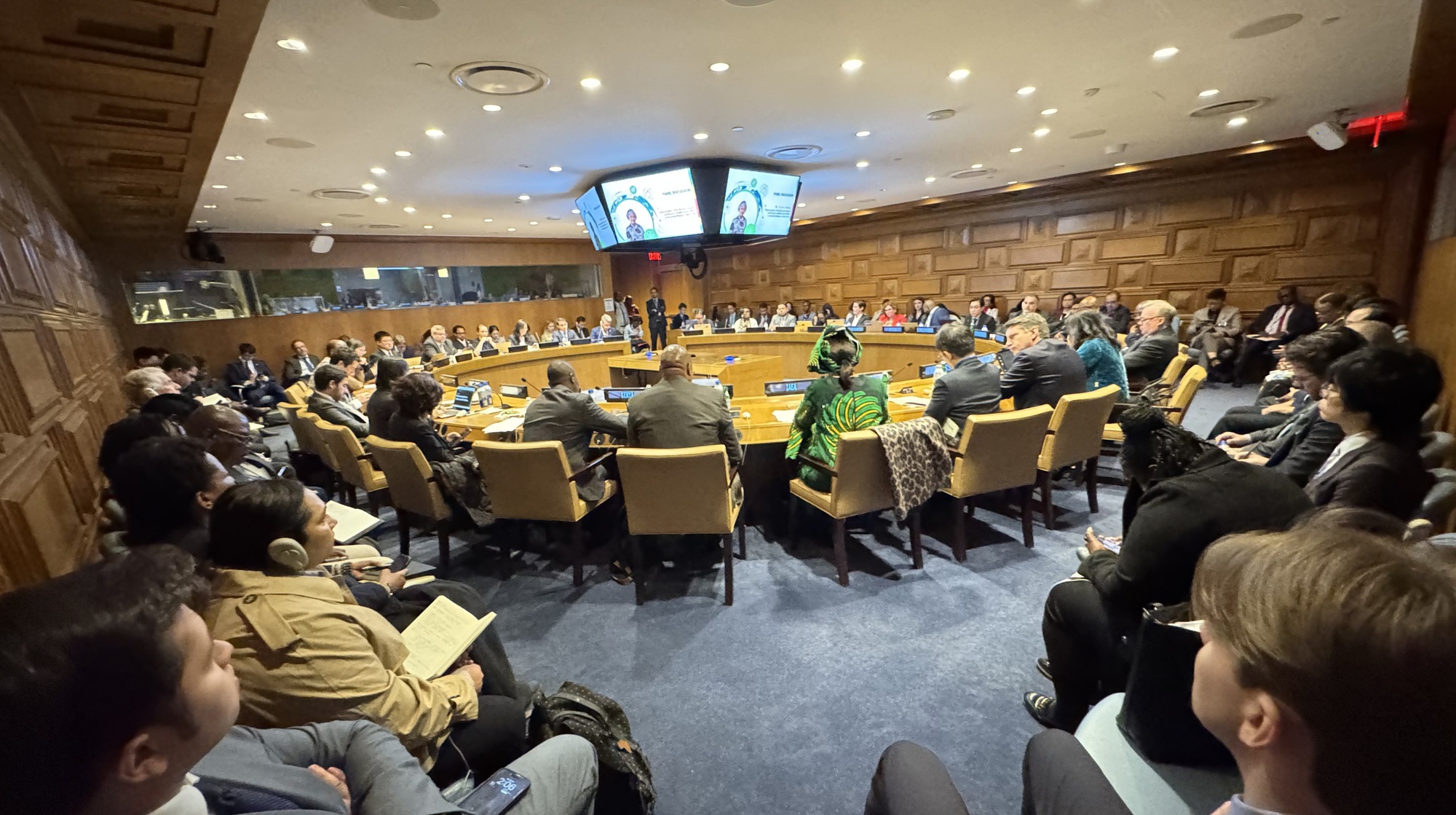 Việt Nam chủ trì tọa đàm về năng lượng hạt nhân tại Liên hợp quốc - Ảnh 1