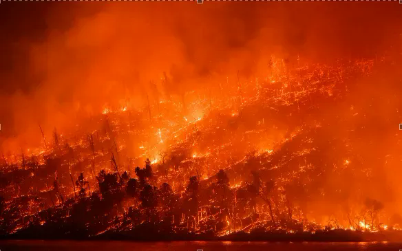 Mùa thứ 5 đã xuất hiện trên Trái đất - Ảnh 3