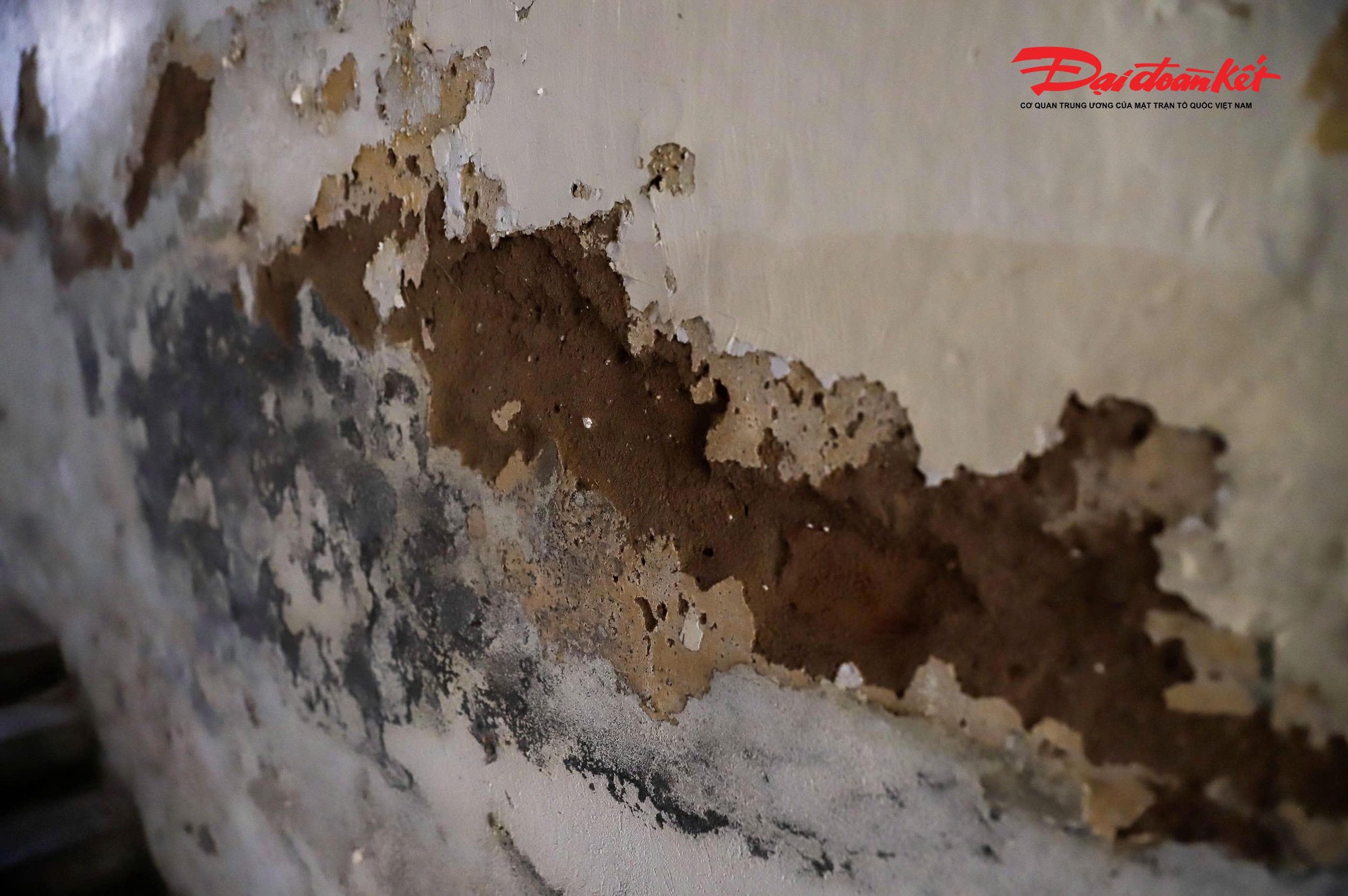 Toàn cảnh khu tập thể xuống cấp, Hà Nội sắp thay thế bằng chung cư 34 tầng - Ảnh 5