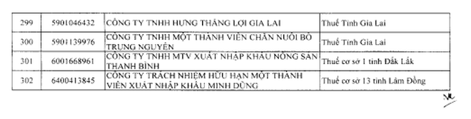 Cục Thuế đưa một 'ông lớn' thực phẩm Hàn Quốc vào diện rà soát khi doanh thu nghìn tỷ nhưng thua lỗ - Ảnh 3