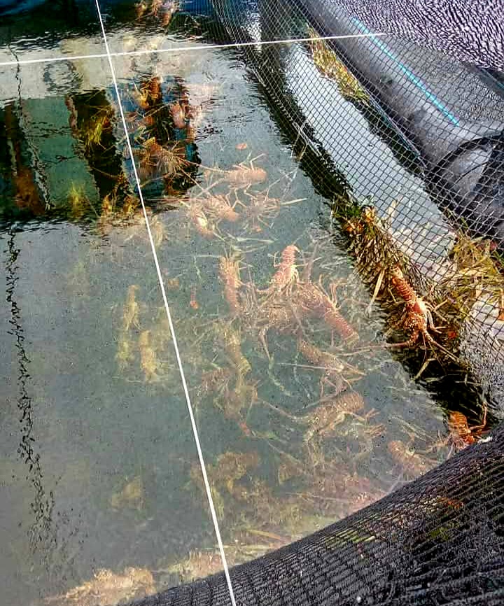 Một dự án ở Cuba 'đang trong tình trạng tuyệt vời': Điều gì khiến Việt Nam trở thành 'chìa khóa'? - Ảnh 2