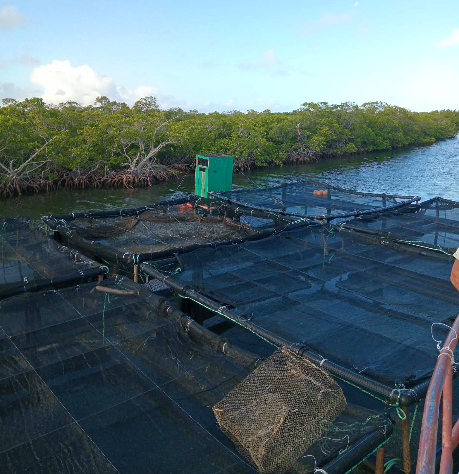 Một dự án ở Cuba 'đang trong tình trạng tuyệt vời': Điều gì khiến Việt Nam trở thành 'chìa khóa'? - Ảnh 1