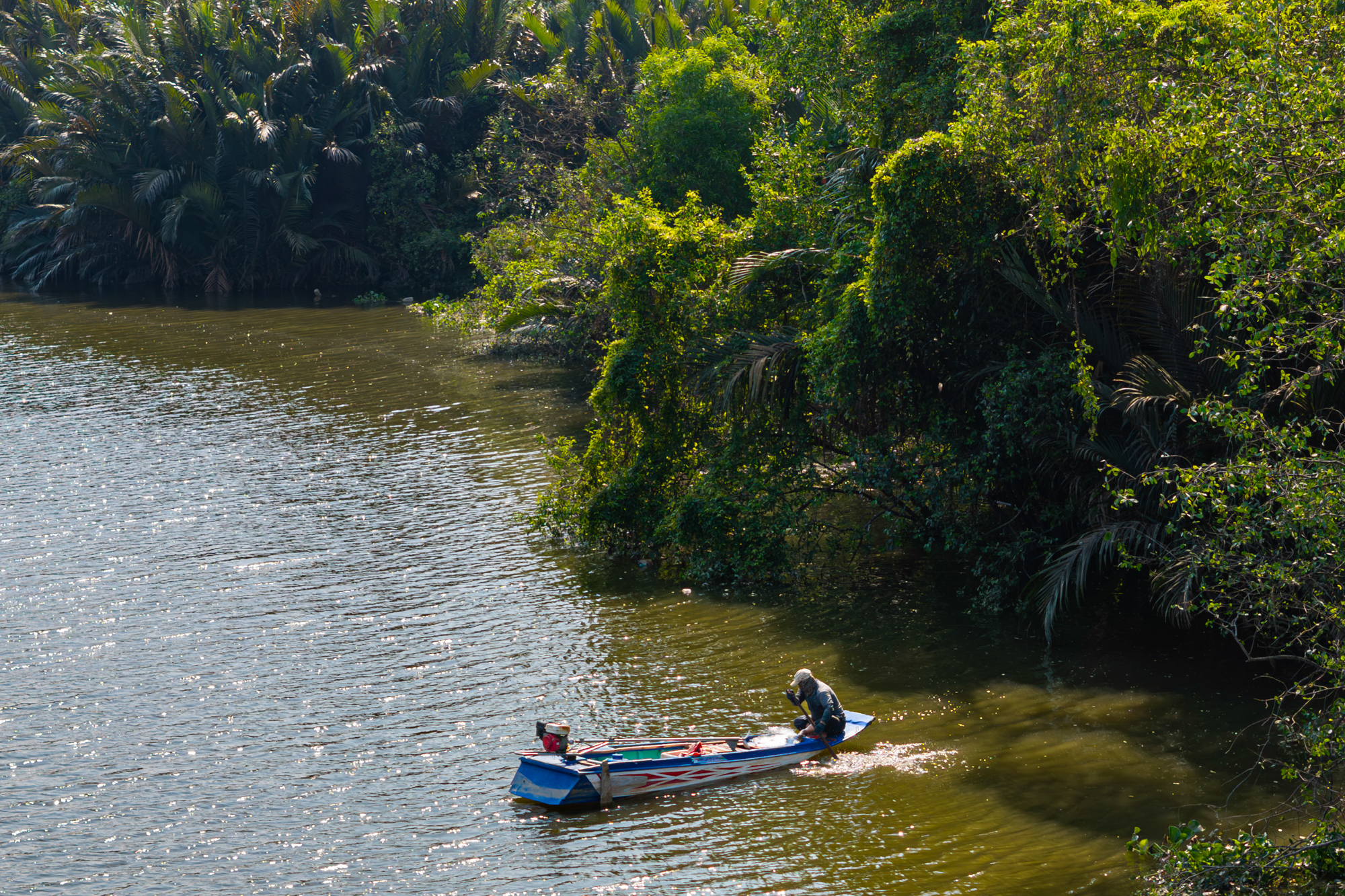 Toàn cảnh khu đất 187 ha toàn dừa nước, cỏ dại đang được Sun Group rót 6 tỷ USD để biến thành siêu đô thị ở TP.HCM - Ảnh 11