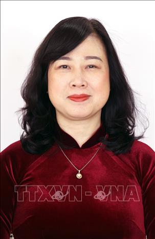 Các Phó Thủ tướng, Bộ trưởng và thành viên khác của Chính phủ nhiệm kỳ 2026-2031 - Ảnh 13