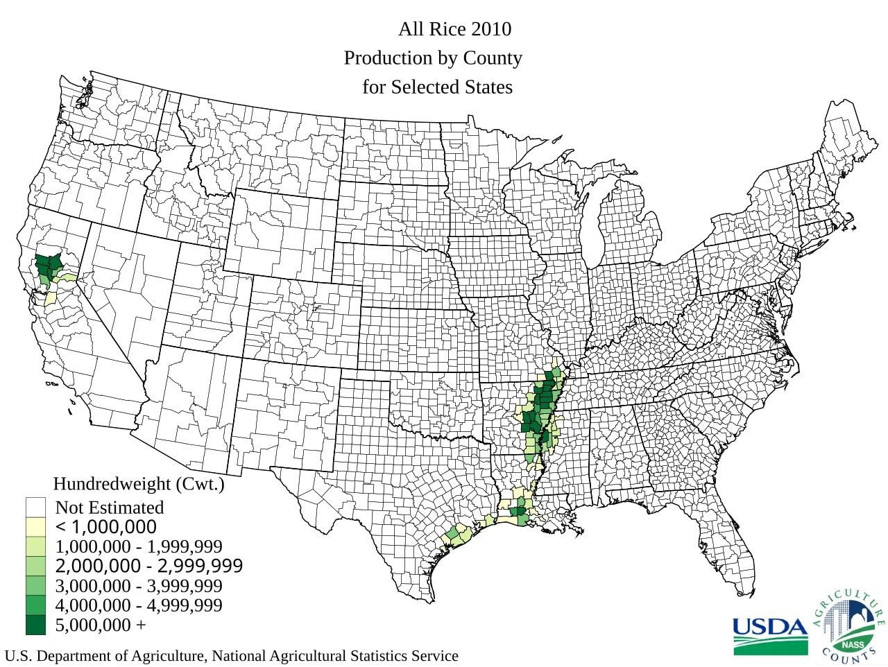Hoa Kỳ đang bán gạo khắp châu Á: Hàn Quốc chốt đơn 11.000 tấn, Indonesia nhập 1.000 tấn - nguồn gạo từ đâu ra? - Ảnh 3