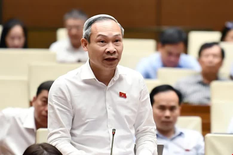 ĐBQH đề xuất nâng ngưỡng chịu thuế với hộ kinh doanh lên 3 tỷ đồng/năm - Ảnh 3