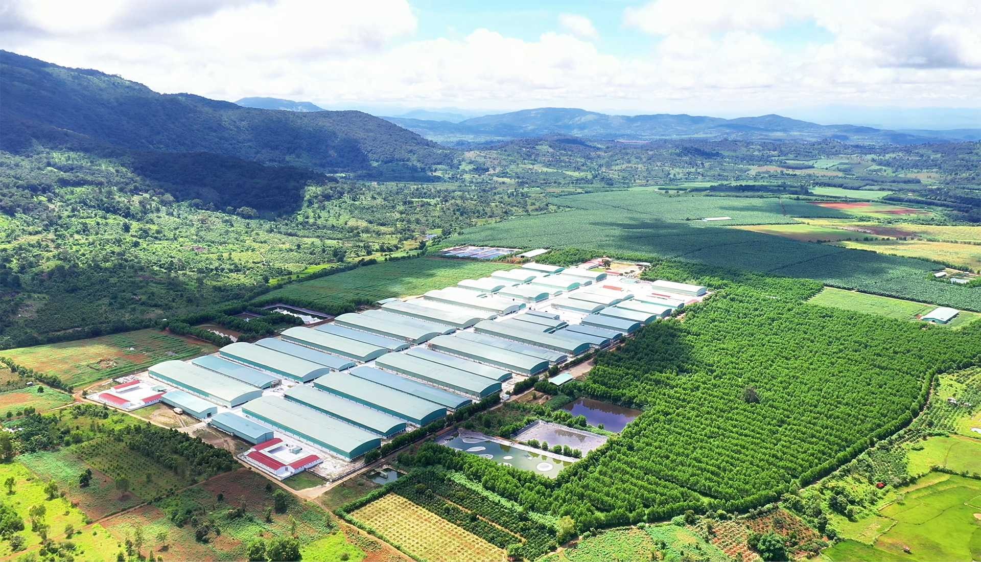 OCB ghi nhận lợi nhuận quý I/2026 tăng 37% so với cùng kỳ - Ảnh 1