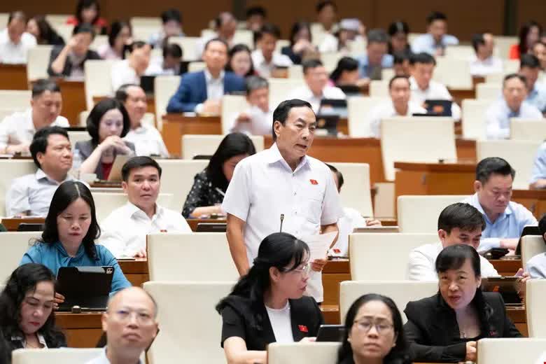 ĐBQH đề xuất nâng ngưỡng chịu thuế với hộ kinh doanh lên 3 tỷ đồng/năm - Ảnh 5