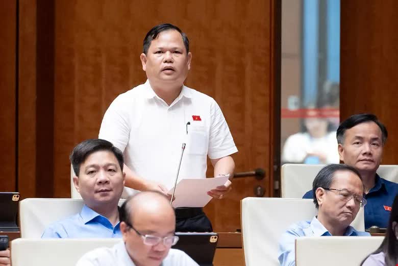 ĐBQH đề xuất nâng ngưỡng chịu thuế với hộ kinh doanh lên 3 tỷ đồng/năm - Ảnh 1