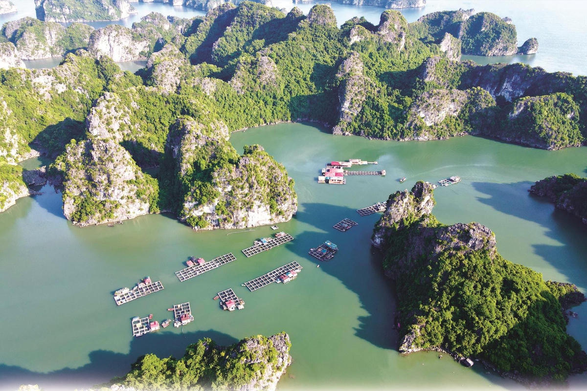 Chính phủ phê duyệt nhiệm vụ lập Quy hoạch bảo tồn, phát huy tiềm năng vịnh Hạ Long - Ảnh 1