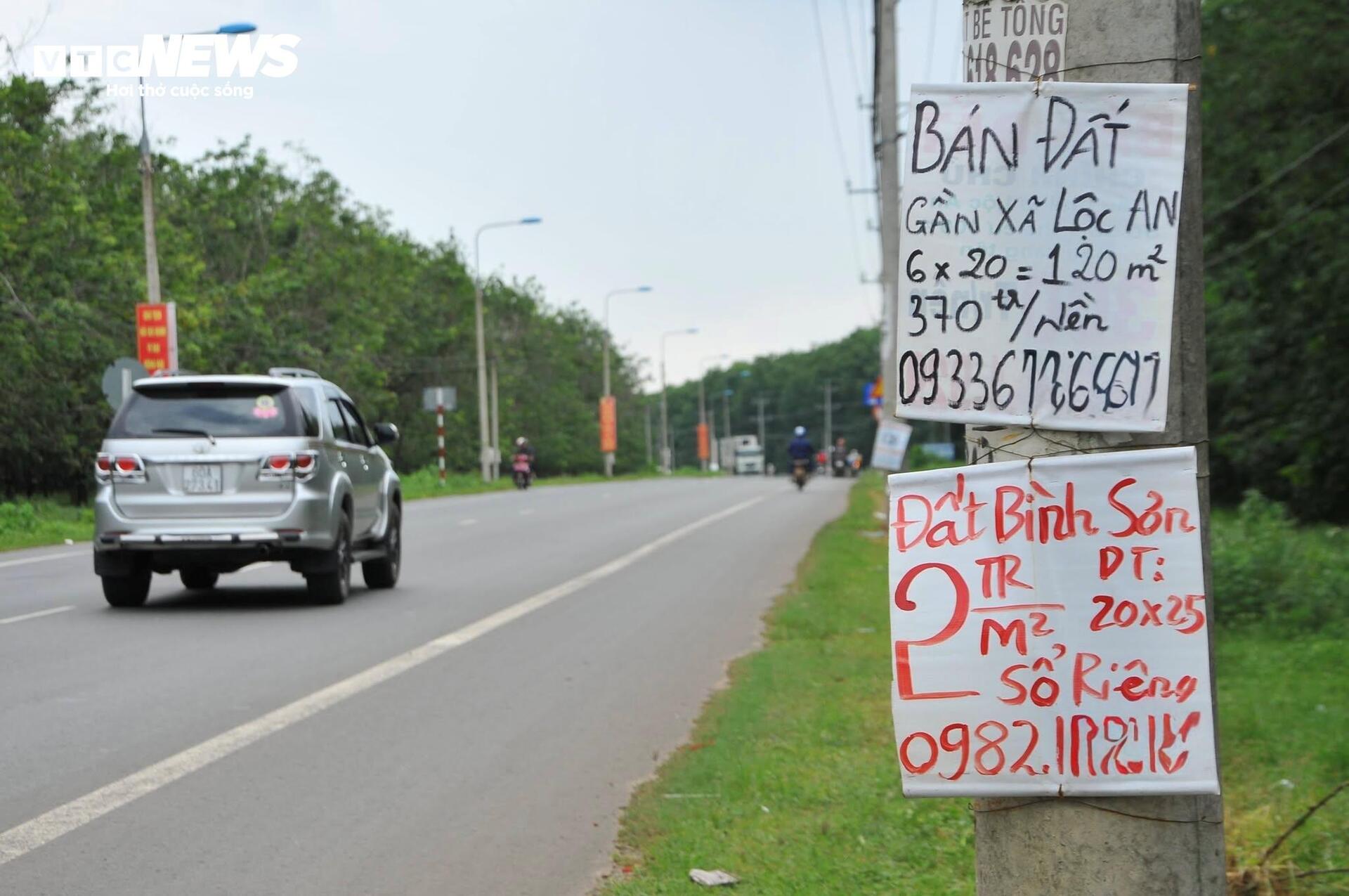Chuyên gia nêu lý do đất nền phân lô bán cắt lỗ vẫn không có người mua - Ảnh 1
