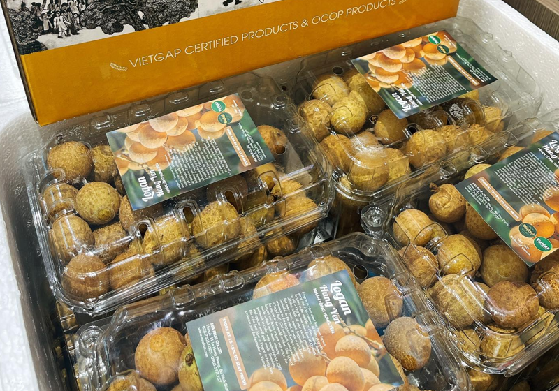 Loại quả bán đầy chợ Việt giá 15.000 đồng: Sang châu Âu hóa 'hàng hiệu' 600.000 đồng/kg, thu chục triệu USD - Ảnh 2