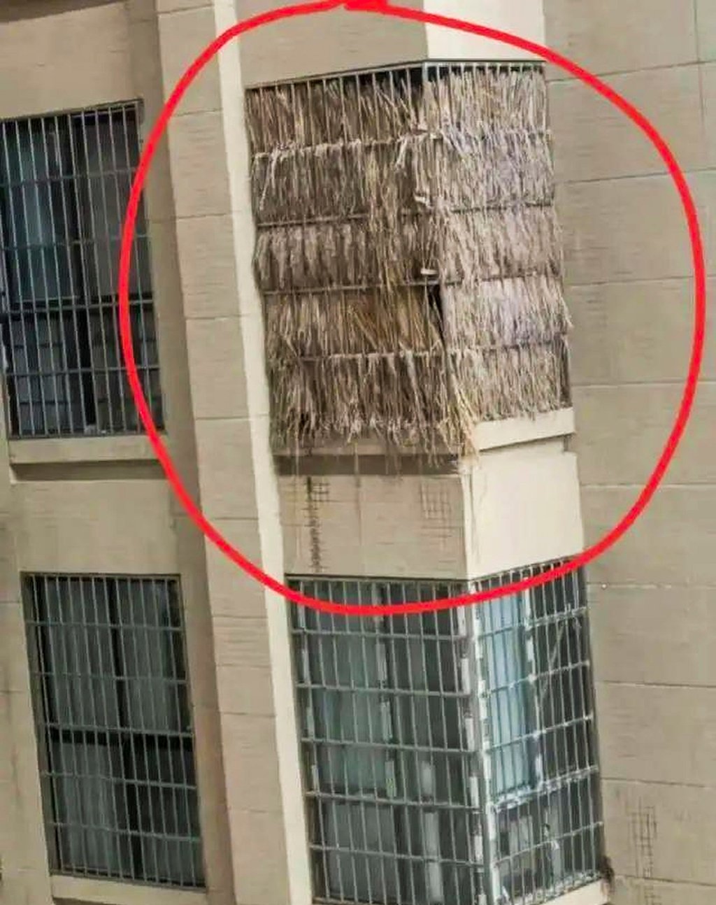 Người dân Trung Quốc mua chung cư để tro cốt vì đất nghĩa trang đắt gấp 10 lần đất ở - Ảnh 3