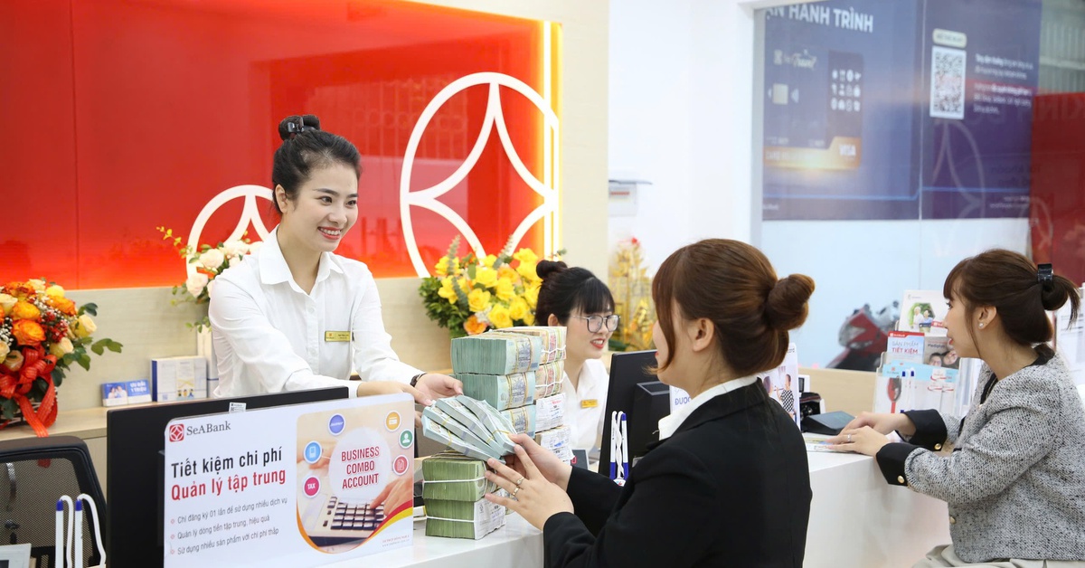 SeABank dự kiến chia cổ tức 20,5%, tăng vốn lên 34.688 tỷ đồng và đặt mục tiêu lợi nhuận 7.068 tỷ đồng trong năm 2026