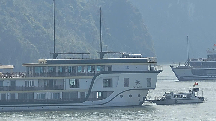 Sử dụng Starlink trái phép, chủ tàu du lịch ở Cát Bà bị phạt 70 triệu đồng - Ảnh 1