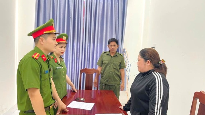 Bắt giám đốc công ty xây dựng mua 26 hóa đơn để trốn thuế - Ảnh 1