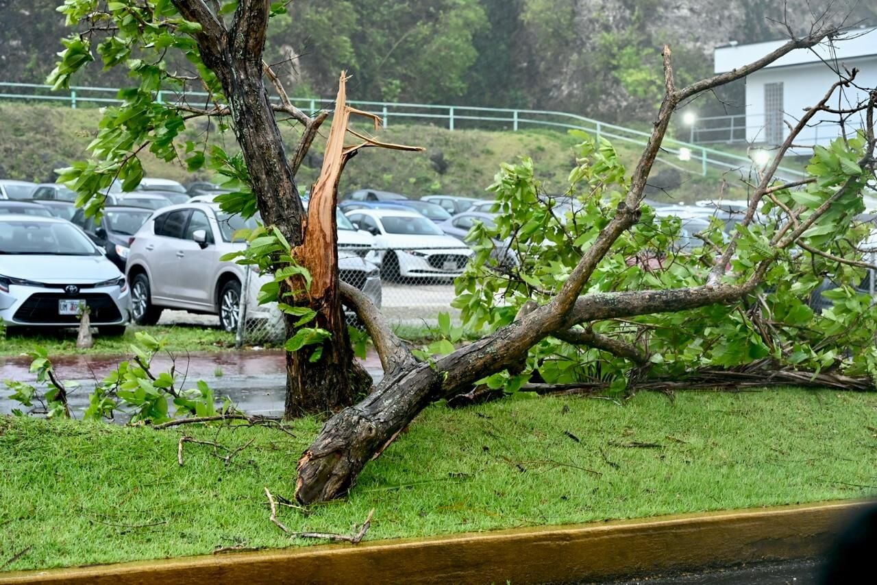 Siêu bão mạnh nhất hành tinh Sinlaku áp sát: Người dân "nín thở" trước giờ G, mưa to gió lớn đã xuất hiện - Ảnh 3