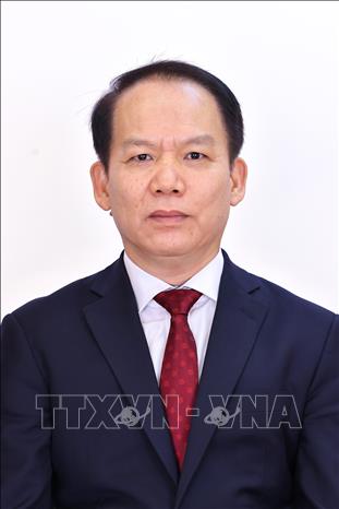 Các Phó Thủ tướng, Bộ trưởng và thành viên khác của Chính phủ nhiệm kỳ 2026-2031 - Ảnh 10