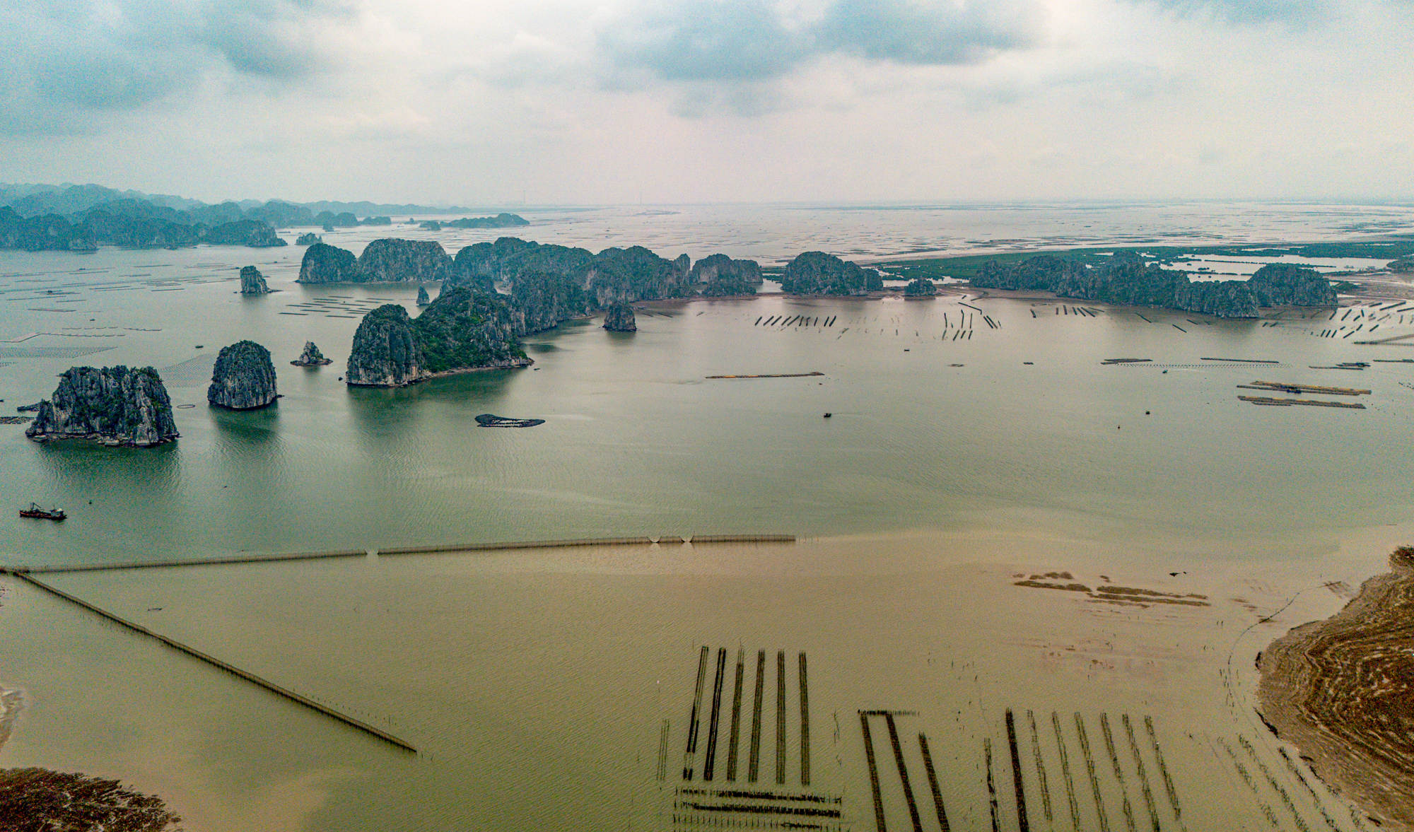 Toàn cảnh siêu dự án 18 tỷ USD của Vinhomes: Rộng như một thành phố - Ảnh 9