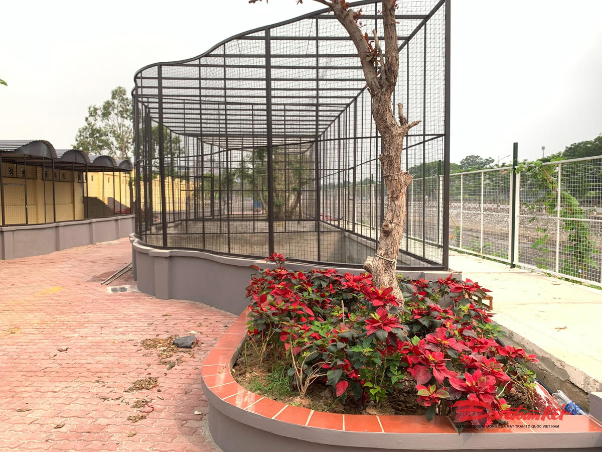 Hà Nội: Loạt công trình xây dựng trên diện tích gần 16.000m2 đất quy hoạch do phường Việt Hưng quản lý - Ảnh 13