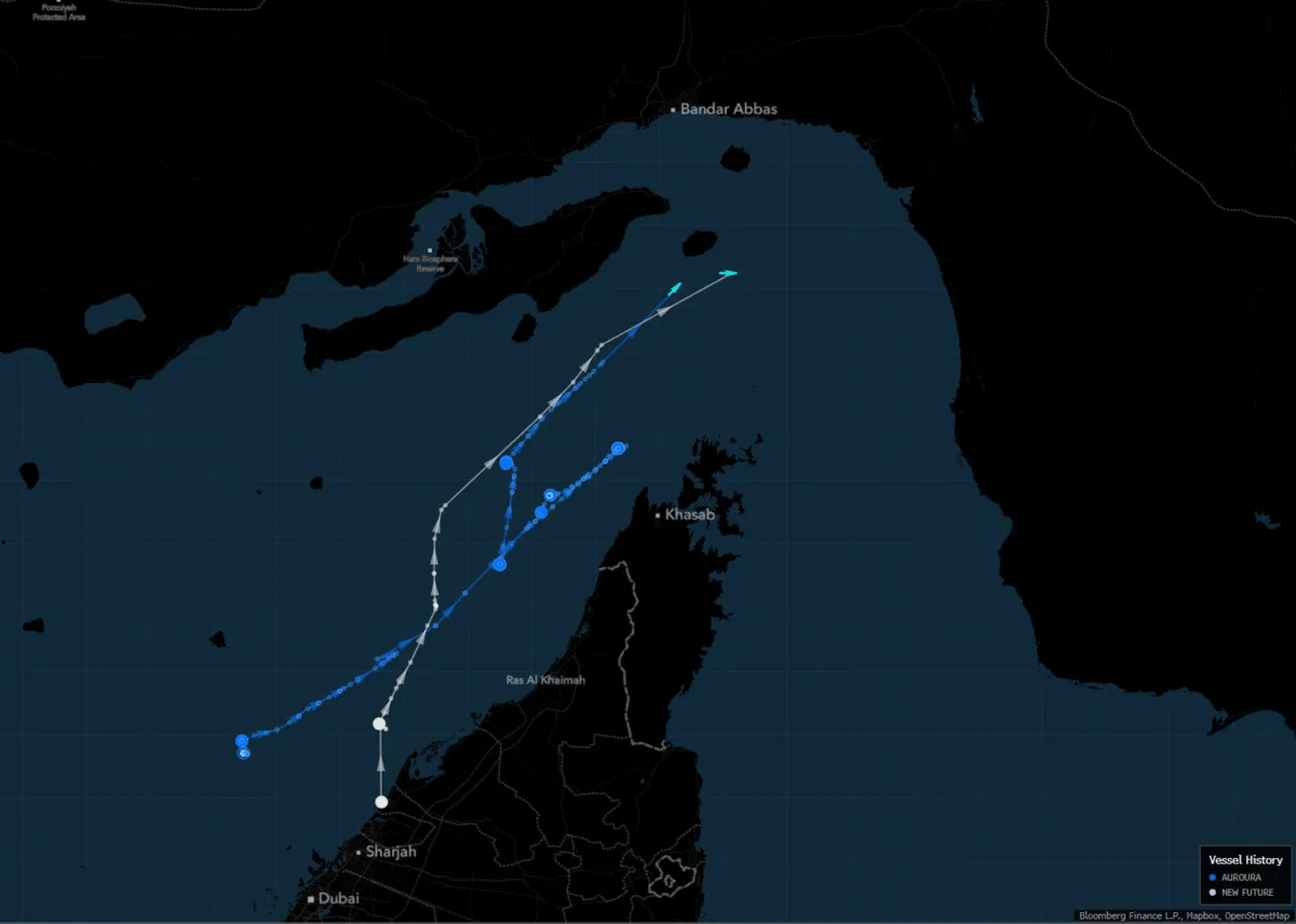 Anh không phong tỏa eo biển Hormuz cùng Mỹ, 2 tàu dầu chạy đua "phá vây" - Ảnh 2
