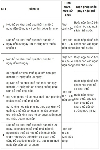 Sắp hết hạn khai thuế, hộ kinh doanh nộp chậm bị phạt bao nhiêu tiền? - Ảnh 2