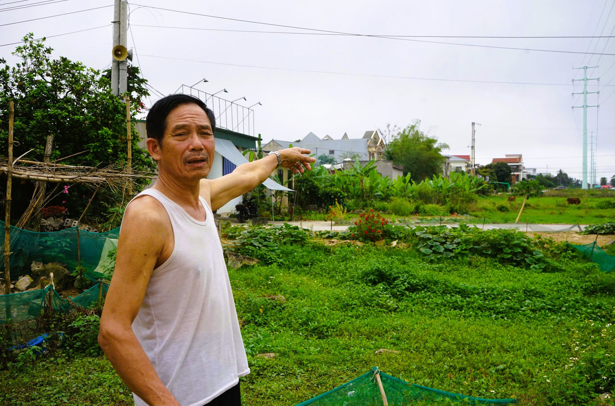 Thanh Hóa phản hồi vụ tuyến đường ven biển ngàn tỉ đồng thi công ì ạch - Ảnh 2