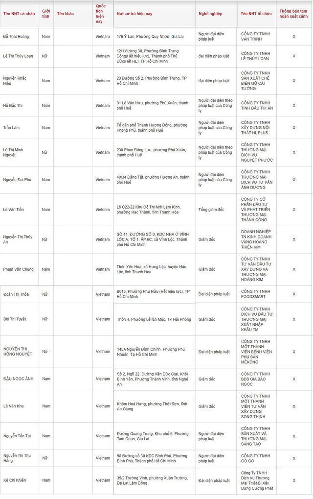 Cục Thuế thông báo: Một loạt Giám đốc có tên sau ở TP.HCM, Thanh Hóa, Huế, Hải Phòng… bị tạm hoãn xuất cảnh - Ảnh 1