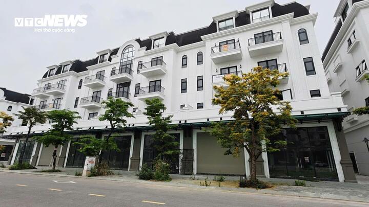 Phố đi bộ nghìn tỷ ở Bắc Ninh đìu hiu, biệt thự bỏ hoang cho cỏ mọc - Ảnh 4