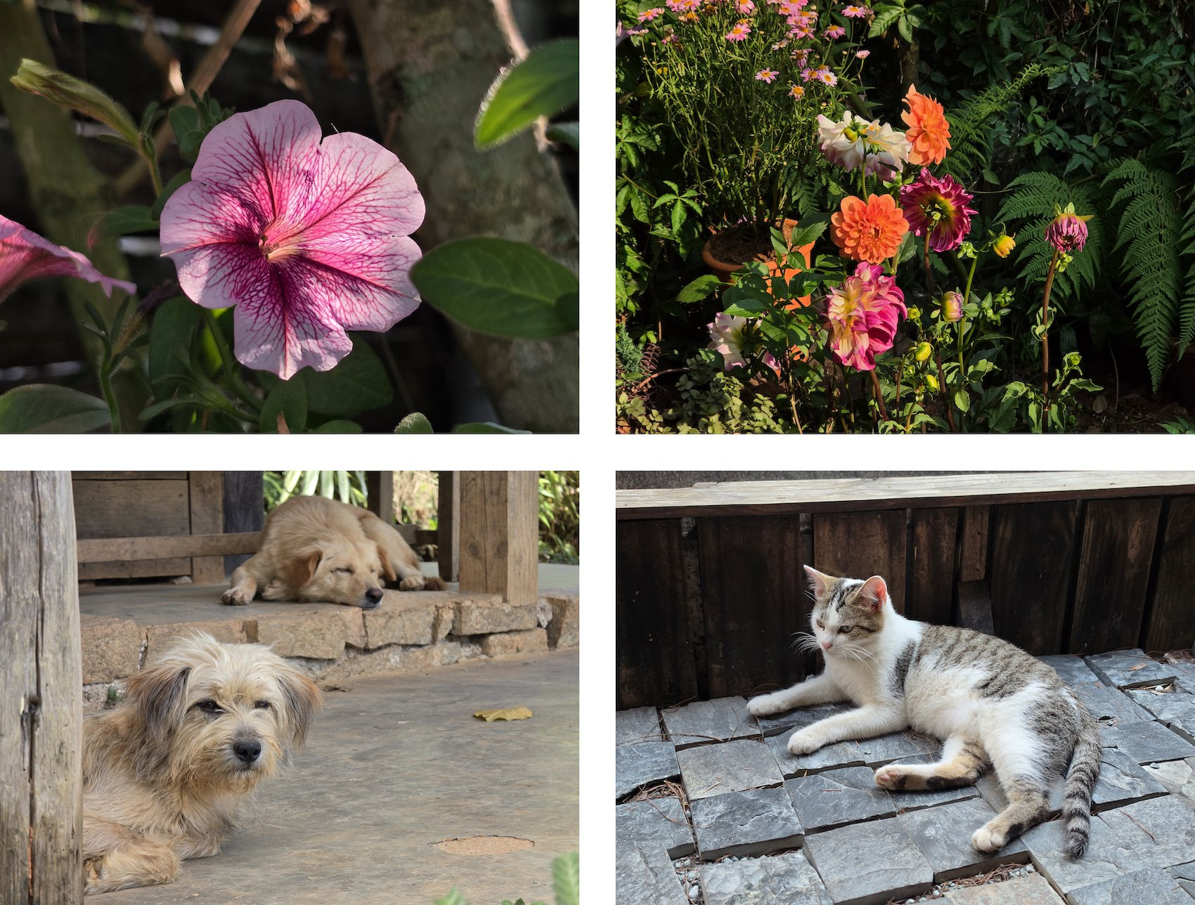 Điện thoại của bạn có truyền cảm hứng sáng tạo trong mỗi chuyến du lịch như Galaxy S26 Ultra - Ảnh 4