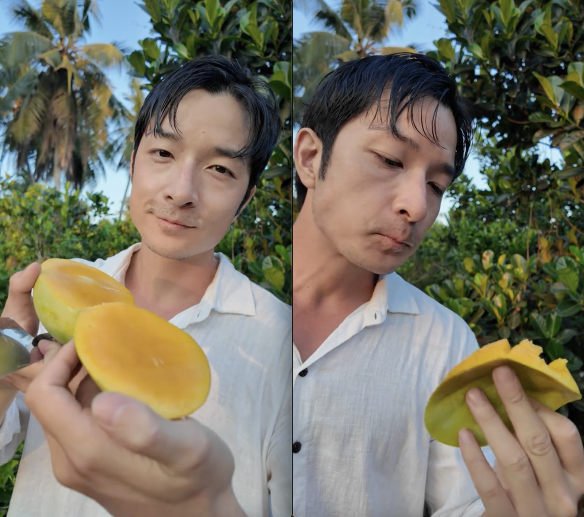 Khách Nhật ăn không ngừng 1 loại trái cây Việt chỉ vì: "Ở Nhật là 400.000 đồng 1 quả" - Ảnh 1