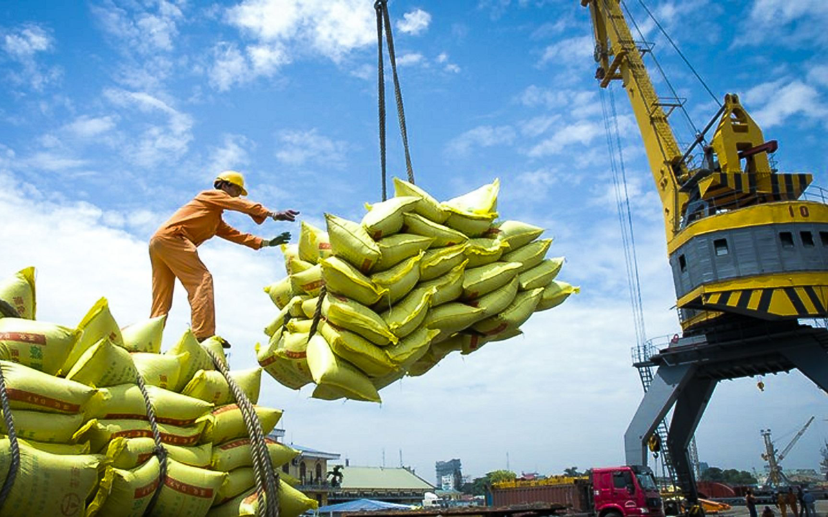 Một mặt hàng 'tỷ đô' của Việt Nam đón tin cực vui từ Philippines và Trung Quốc - triển vọng mang về 5 tỷ USD