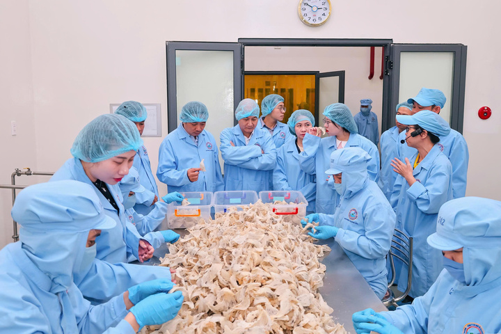 Đĩa cơm, tô phở, ly cà phê lên mức giá mới, gần 60% hàng quán thừa nhận tăng giá - Ảnh 2